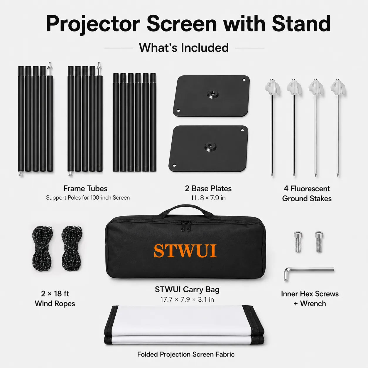 100 Inch Projector Screen with Stand